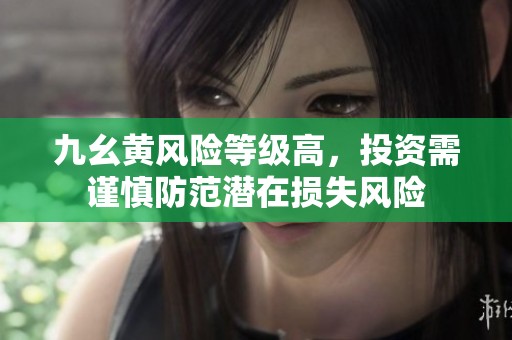 九幺黃風險等級高，投資需謹慎防范潛在損失風險