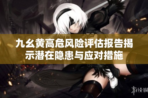 九幺黃高危風(fēng)險(xiǎn)評(píng)估報(bào)告揭示潛在隱患與應(yīng)對(duì)措施