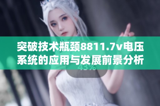 突破技術(shù)瓶頸8811.7v電壓系統(tǒng)的應(yīng)用與發(fā)展前景分析