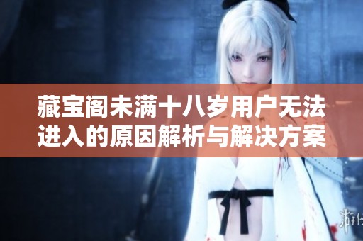 藏寶閣未滿(mǎn)十八歲用戶(hù)無(wú)法進(jìn)入的原因解析與解決方案