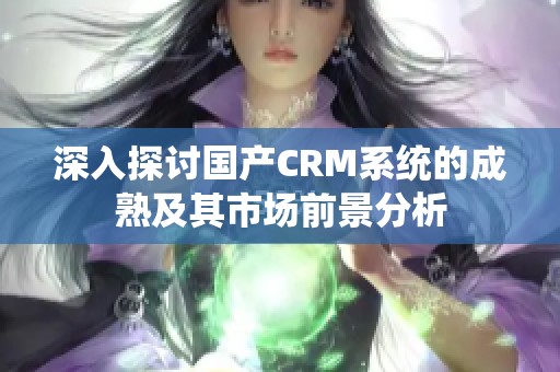 深入探討國產(chǎn)CRM系統(tǒng)的成熟及其市場前景分析