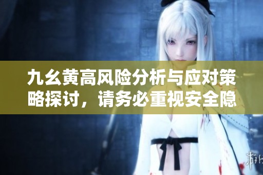 九幺黃高風險分析與應(yīng)對策略探討，請務(wù)必重視安全隱患
