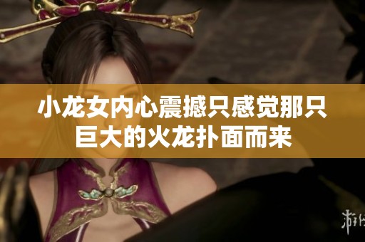 小龍女內(nèi)心震撼只感覺那只巨大的火龍撲面而來