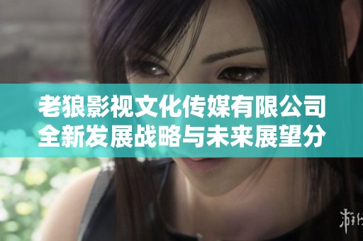 老狼影視文化傳媒有限公司全新發(fā)展戰(zhàn)略與未來展望分析