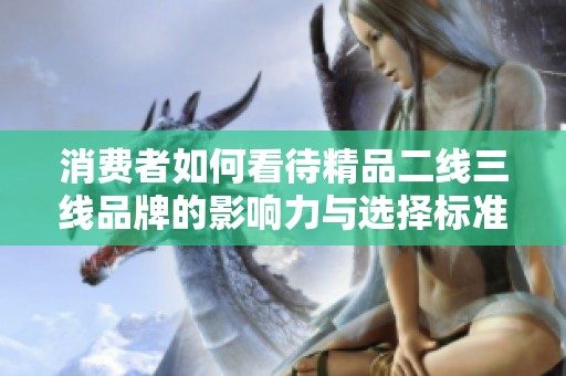 消費(fèi)者如何看待精品二線三線品牌的影響力與選擇標(biāo)準(zhǔn)