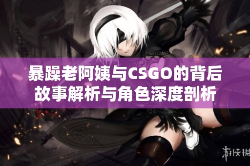 暴躁老阿姨與CSGO的背后故事解析與角色深度剖析