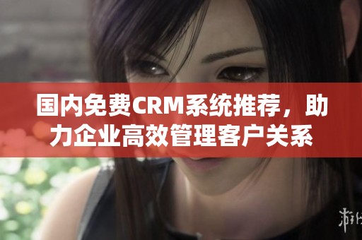 國(guó)內(nèi)免費(fèi)CRM系統(tǒng)推薦，助力企業(yè)高效管理客戶關(guān)系