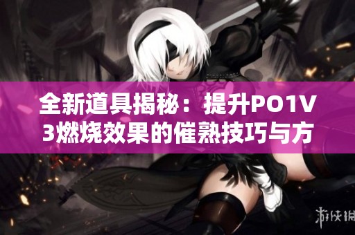 全新道具揭秘：提升PO1V3燃燒效果的催熟技巧與方法