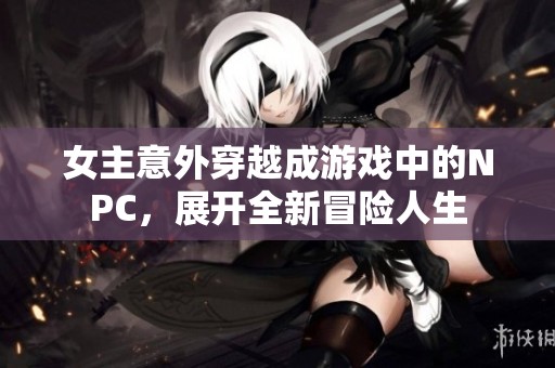 女主意外穿越成游戲中的NPC，展開全新冒險(xiǎn)人生