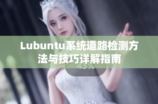 Lubuntu系統(tǒng)道路檢測(cè)方法與技巧詳解指南