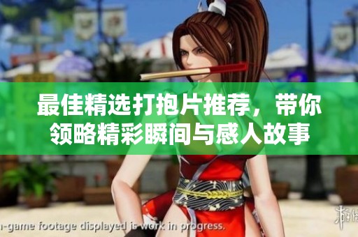 最佳精選打抱片推薦，帶你領(lǐng)略精彩瞬間與感人故事