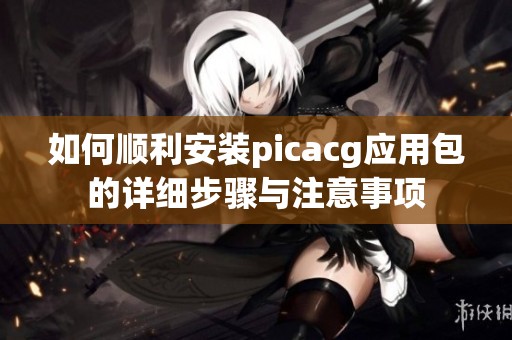 如何順利安裝picacg應(yīng)用包的詳細(xì)步驟與注意事項(xiàng)