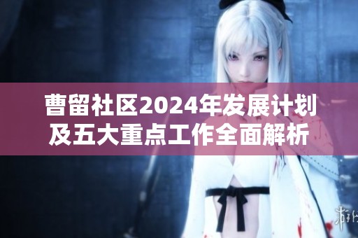 曹留社區(qū)2024年發(fā)展計(jì)劃及五大重點(diǎn)工作全面解析