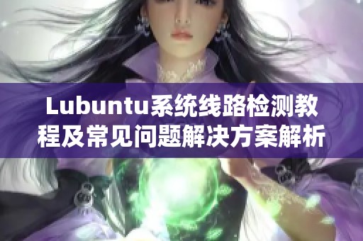 Lubuntu系統(tǒng)線路檢測(cè)教程及常見問題解決方案解析