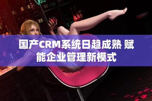 國(guó)產(chǎn)CRM系統(tǒng)日趨成熟 賦能企業(yè)管理新模式