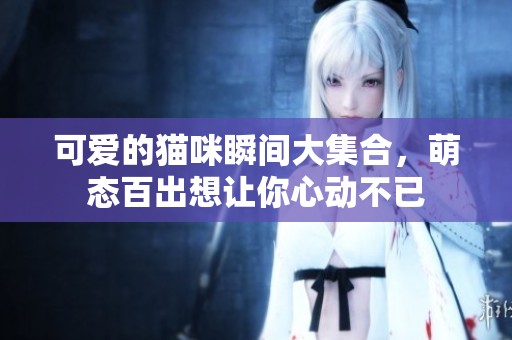 可愛的貓咪瞬間大集合，萌態(tài)百出想讓你心動不已