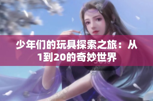 少年們的玩具探索之旅：從1到20的奇妙世界