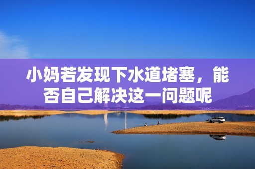 小媽若發(fā)現(xiàn)下水道堵塞，能否自己解決這一問(wèn)題呢