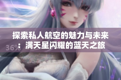 探索私人航空的魅力與未來：滿天星閃耀的藍(lán)天之旅