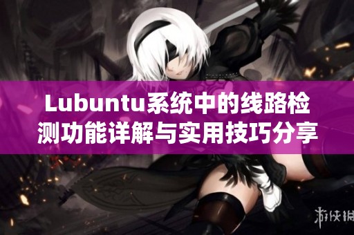 Lubuntu系統(tǒng)中的線路檢測功能詳解與實(shí)用技巧分享