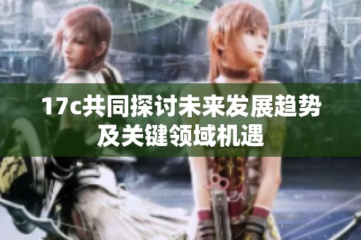 17c共同探討未來發(fā)展趨勢(shì)及關(guān)鍵領(lǐng)域機(jī)遇