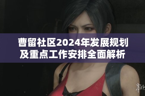 曹留社區(qū)2024年發(fā)展規(guī)劃及重點工作安排全面解析
