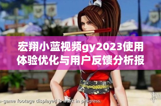 宏翔小藍視頻gy2023使用體驗優(yōu)化與用戶反饋分析報告