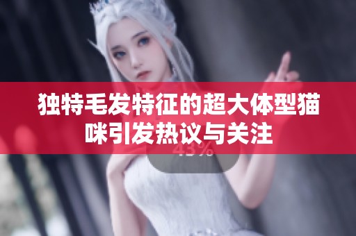 獨(dú)特毛發(fā)特征的超大體型貓咪引發(fā)熱議與關(guān)注