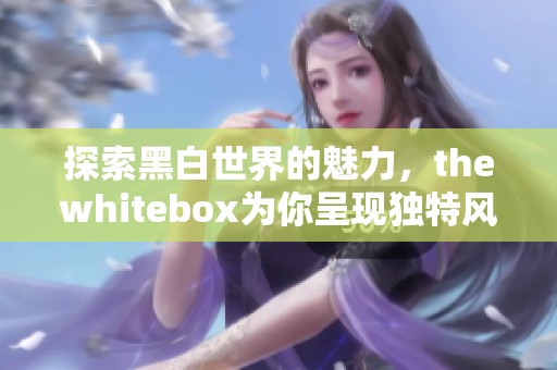 探索黑白世界的魅力，thewhitebox為你呈現(xiàn)獨特風(fēng)格