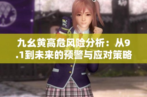 九幺黃高危風(fēng)險(xiǎn)分析：從9.1到未來的預(yù)警與應(yīng)對(duì)策略