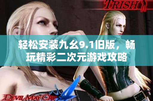 輕松安裝九幺9.1舊版，暢玩精彩二次元游戲攻略