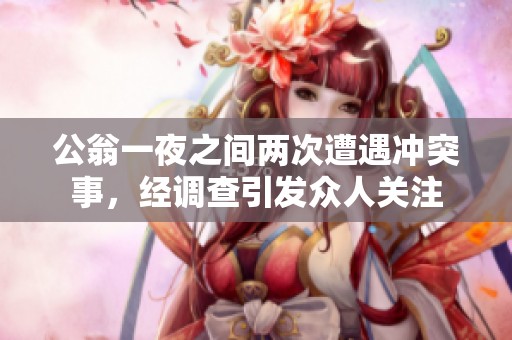 公翁一夜之間兩次遭遇沖突事，經(jīng)調(diào)查引發(fā)眾人關(guān)注