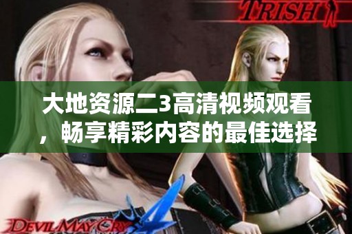 大地資源二3高清視頻觀看，暢享精彩內(nèi)容的最佳選擇