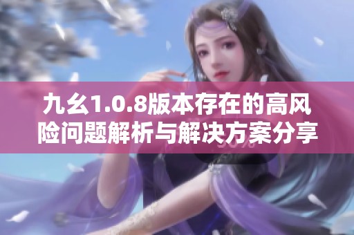 九幺1.0.8版本存在的高風險問題解析與解決方案分享
