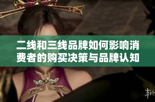 二線和三線品牌如何影響消費者的購買決策與品牌認(rèn)知