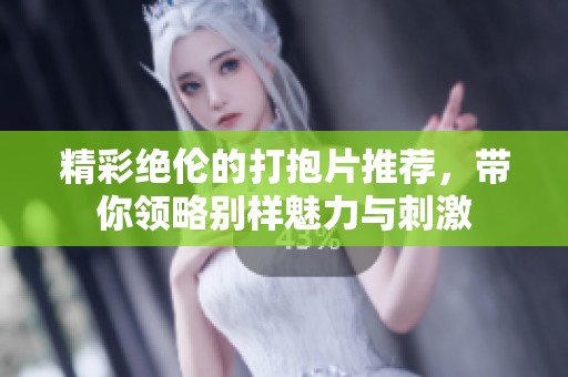 精彩絕倫的打抱片推薦，帶你領(lǐng)略別樣魅力與刺激
