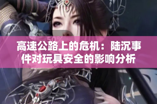 高速公路上的危機：陸沉事件對玩具安全的影響分析