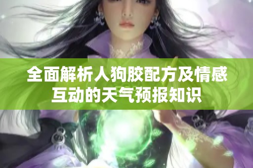 全面解析人狗膠配方及情感互動(dòng)的天氣預(yù)報(bào)知識(shí)