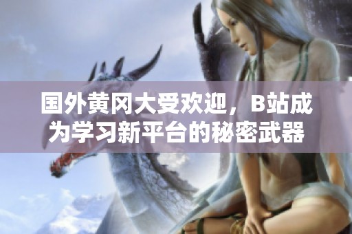 國外黃岡大受歡迎，B站成為學(xué)習(xí)新平臺的秘密武器