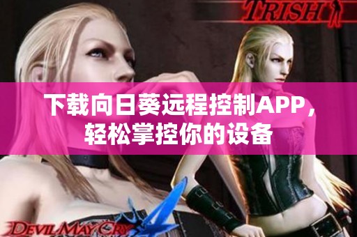 下載向日葵遠(yuǎn)程控制APP，輕松掌控你的設(shè)備