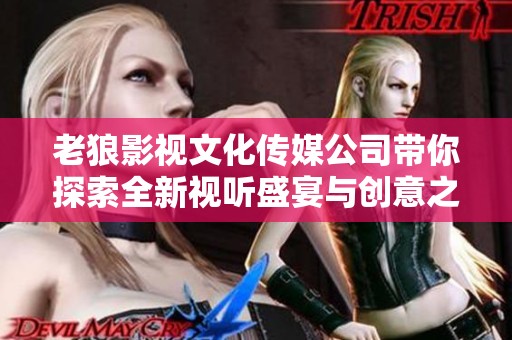 老狼影視文化傳媒公司帶你探索全新視聽(tīng)盛宴與創(chuàng)意之旅