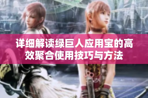 詳細(xì)解讀綠巨人應(yīng)用寶的高效聚合使用技巧與方法