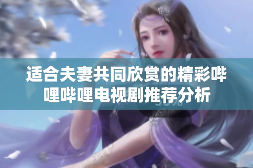 適合夫妻共同欣賞的精彩嗶哩嗶哩電視劇推薦分析