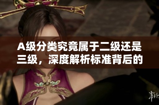 A級(jí)分類究竟屬于二級(jí)還是三級(jí)，深度解析標(biāo)準(zhǔn)背后的真相