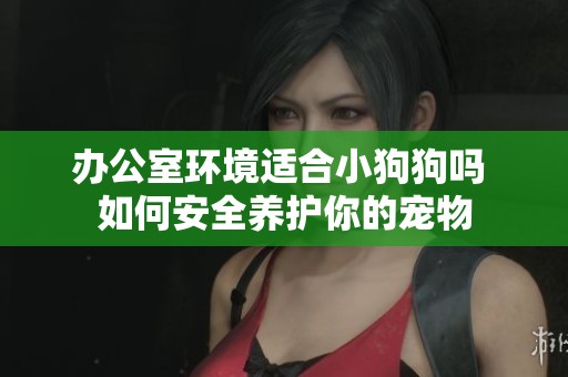 辦公室環(huán)境適合小狗狗嗎 如何安全養(yǎng)護(hù)你的寵物