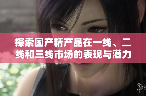 探索國產(chǎn)精產(chǎn)品在一線、二線和三線市場的表現(xiàn)與潛力