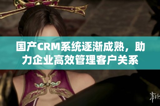 國(guó)產(chǎn)CRM系統(tǒng)逐漸成熟，助力企業(yè)高效管理客戶關(guān)系