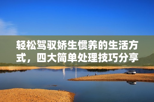 輕松駕馭嬌生慣養(yǎng)的生活方式，四大簡單處理技巧分享