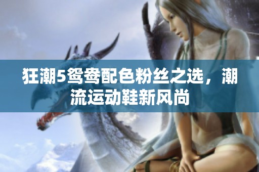 狂潮5鴛鴦配色粉絲之選，潮流運動鞋新風尚