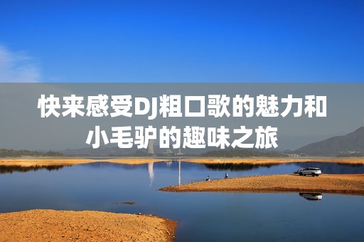 快來(lái)感受DJ粗口歌的魅力和小毛驢的趣味之旅